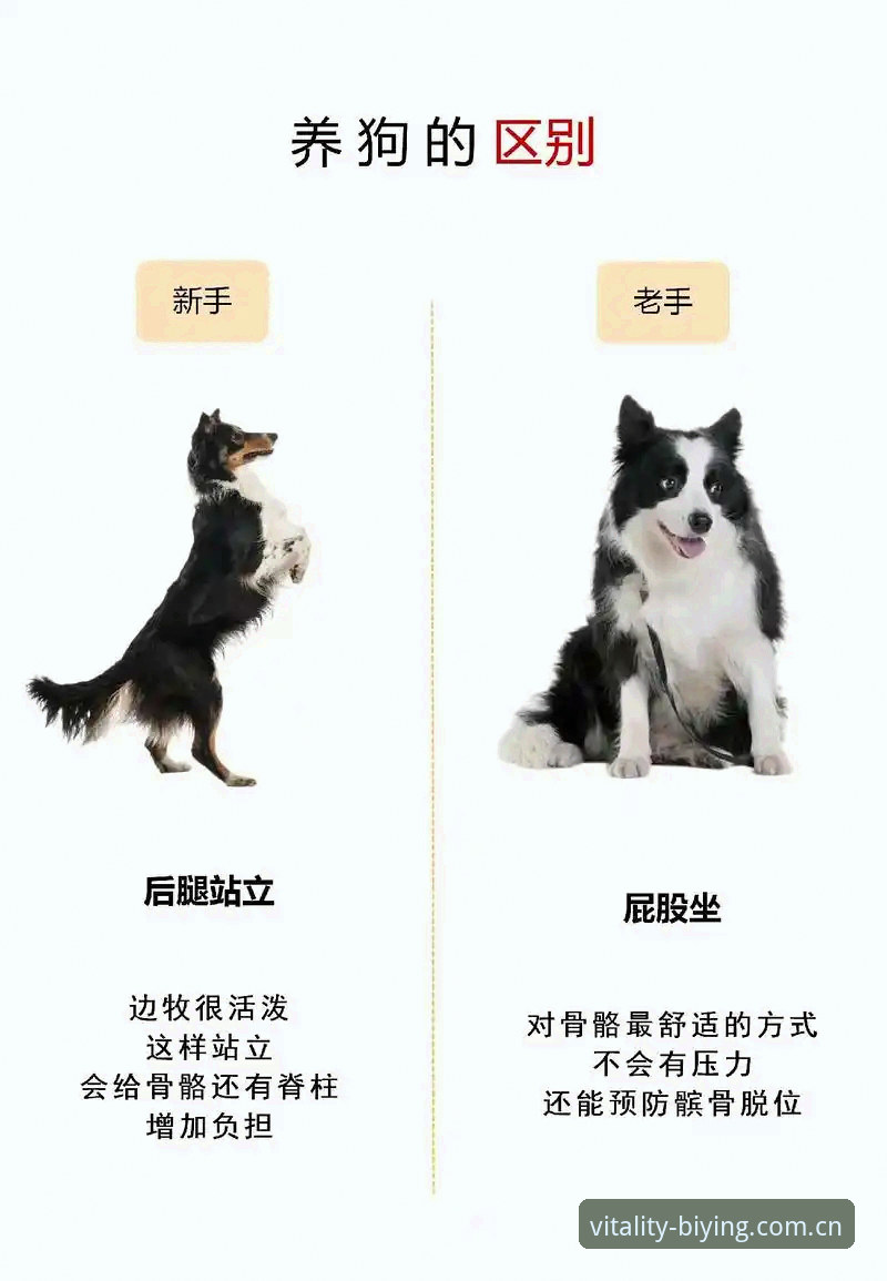 一个体育数据老手，用佛得角这场球跟你聊聊低概率事件的玩法